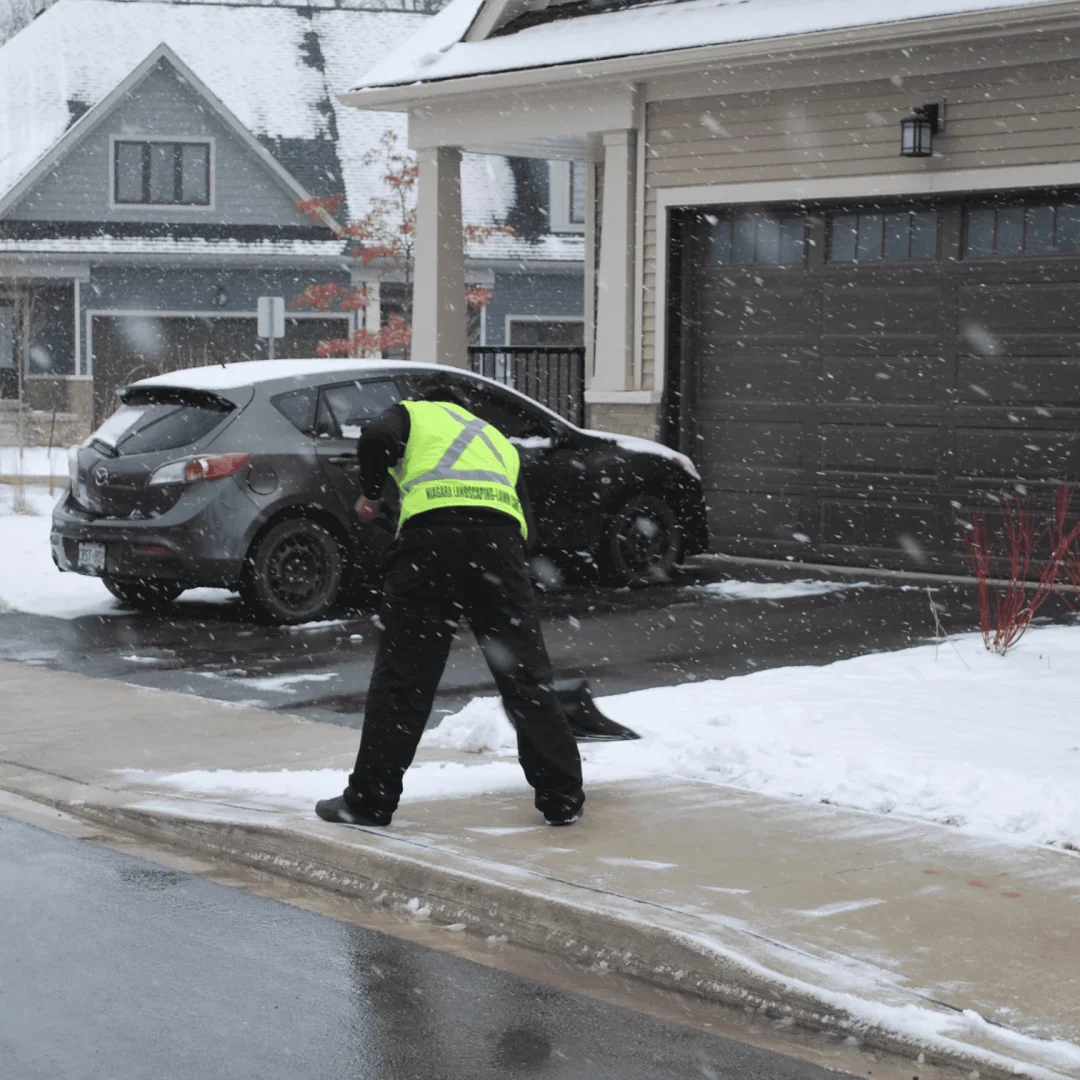 Screenshot 2025-02-08 at 2.28.01 PM